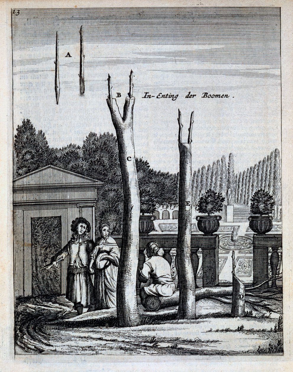 Jan CommelinによるDe Nederlandze Hesperidesのライムとオレンジの木は1676年に出版されました 作： オランダ語学校
