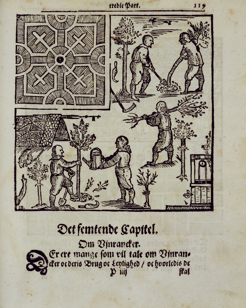 1699年に出版されたヨハンファンデルグルーエンのオランダ人庭師による植樹 作： オランダ語学校