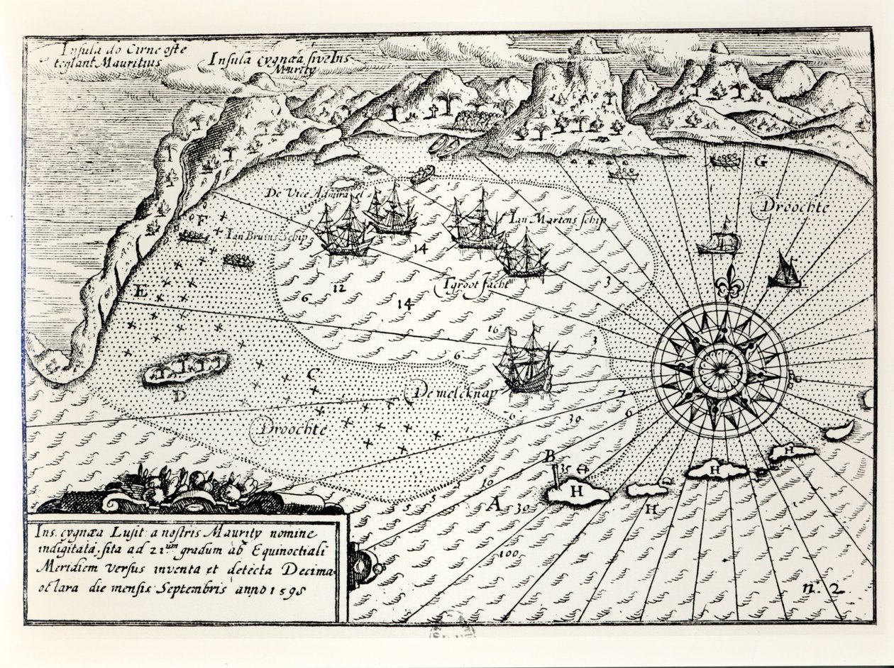 1598年9月にモーリシャスのサウスイーストポートに副提督Wybrandt Van Warwijcks Flotillaが到着 作： オランダ語学校