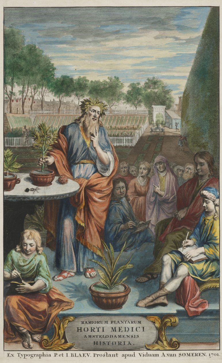 ヤン・コメリンとカスパー・コメリンによる「Horti Medici Amstelodamensis Rariorum Plantarum Historia」第2巻のタイトルページ。 作： オランダ語学校