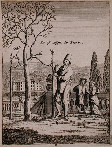1676年に出版されたヤン・コメリンの「De Nederlandze Hesperides」より、エスパリエを訓練する様子（エングレービング） 作： オランダ語学校