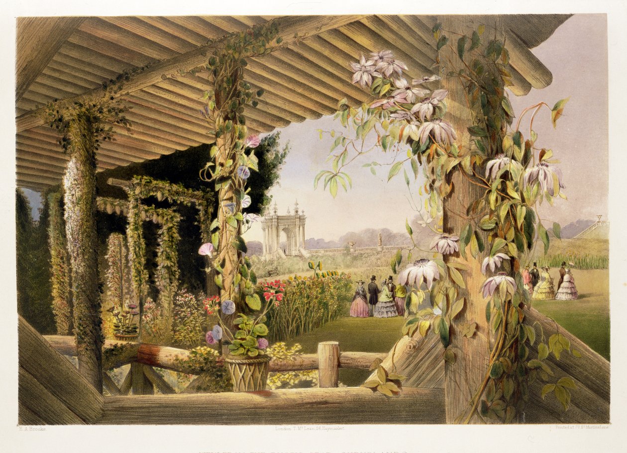 「イングランドの庭園」からの素朴な座席、低木地帯からの眺め、1857年公開 作： E.アドベノブルック