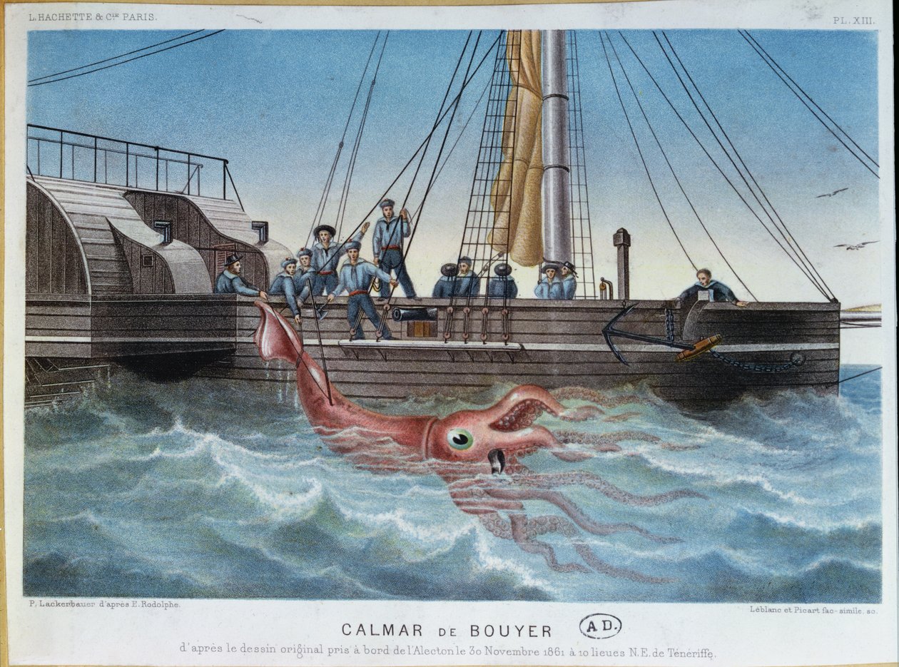 1861年11月30日、テネリフェ島沖のアレクトンに捕獲された巨大なイカ。ルブランとピカールが彫刻 作： E.ロドルフ
