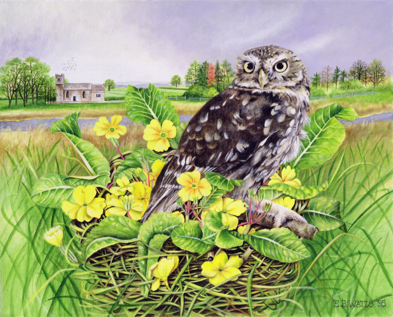 フクロウとプリムラの草むらの巣 作： EB Watts