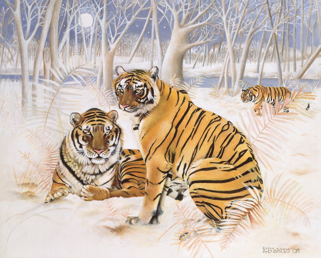 雪の虎、2005（キャンバスにアクリル） 作： EB Watts