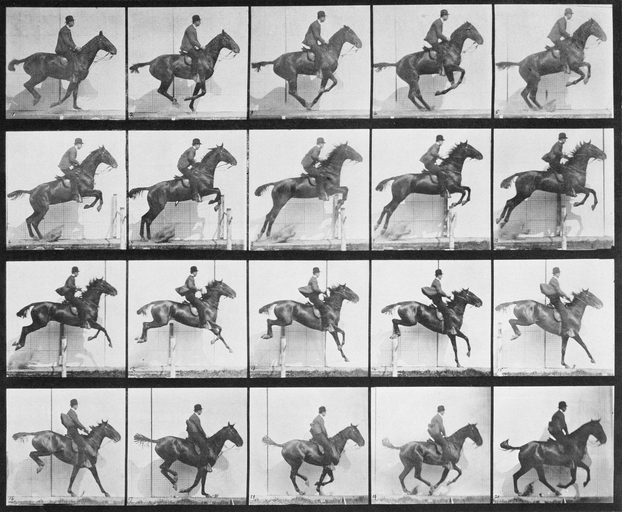 男と馬がフェンスをジャンプ、1887年の「Animal Locomotion」からのプレート640 作： エドワード・マイブリッジ