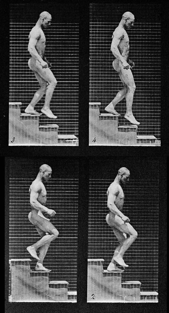 「動物の移動」からの階段を下る男、1887（425605の詳細） 作： エドワード・マイブリッジ
