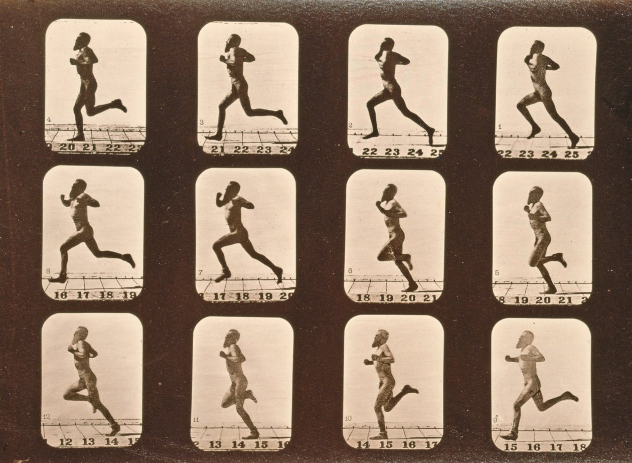 アスリートの画像シーケンス。ランニング、「動物の運動」シリーズ、1881年 作： エドワード・マイブリッジ