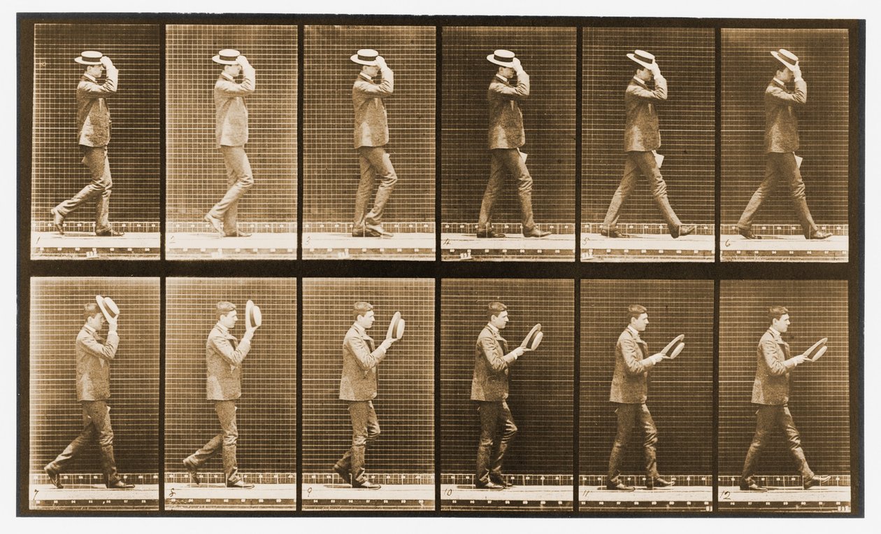 帽子をかぶった男の画像シーケンス、「Animal Locomotion」シリーズ、1887年 作： エドワード・マイブリッジ