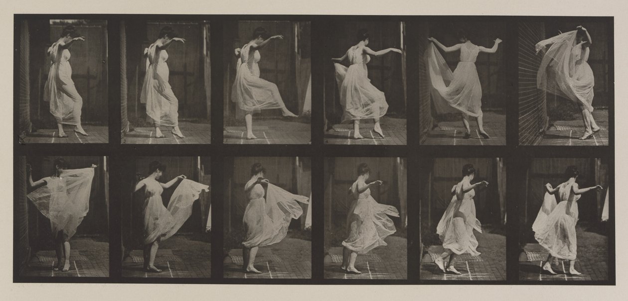 プレート番号188。ダンシング（ファンシー）、1887（コロタイプ） 作： エドワード・マイブリッジ