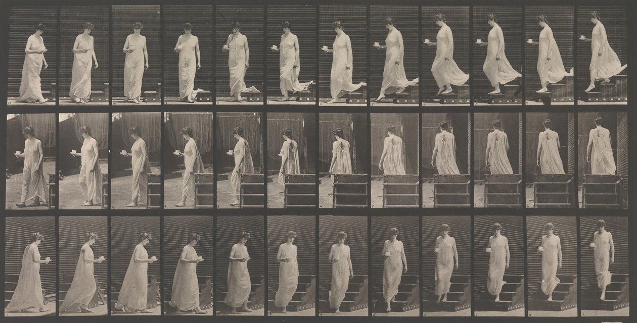 動物の移動。 動物の動きの電子写真調査. 開始...、1880年代。 作： エドワード・マイブリッジ