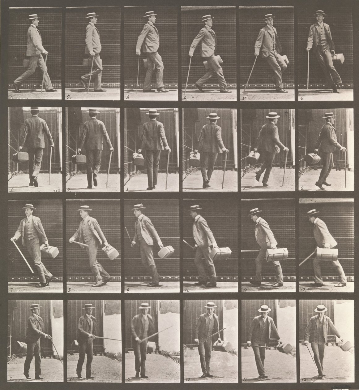 動物の移動。 動物の動きの電子写真調査. 開始...、1880年代。 作： エドワード・マイブリッジ
