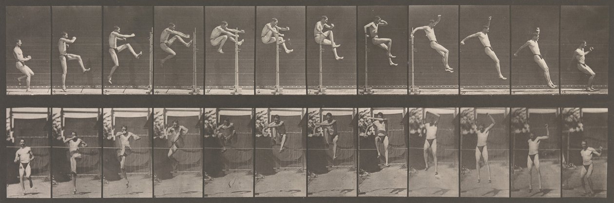 動物の移動。 動物の連続相の電子写真調査、1880年代。 作： エドワード・マイブリッジ