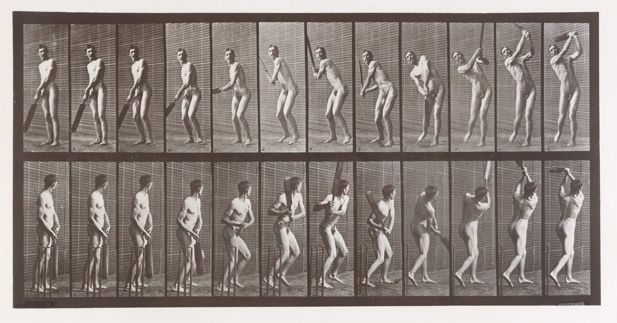 動物の移動。 動物の連続相の電子写真調査、1880年代。 作： エドワード・マイブリッジ