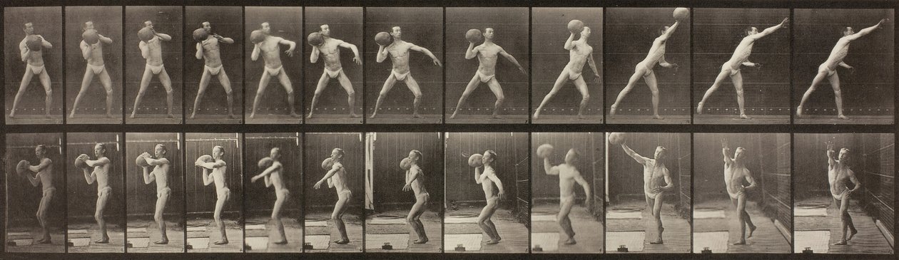 動物の移動、プレート 319、1887 年。 作： エドワード・マイブリッジ