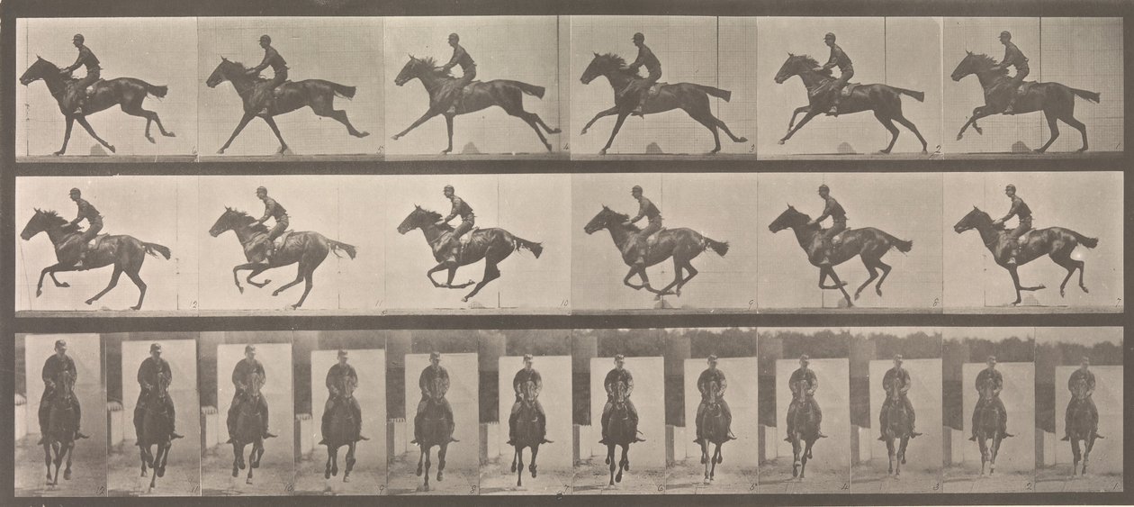 [Horse and Rider Galloping]、1883-86、1887 年に印刷。 作： エドワード・マイブリッジ