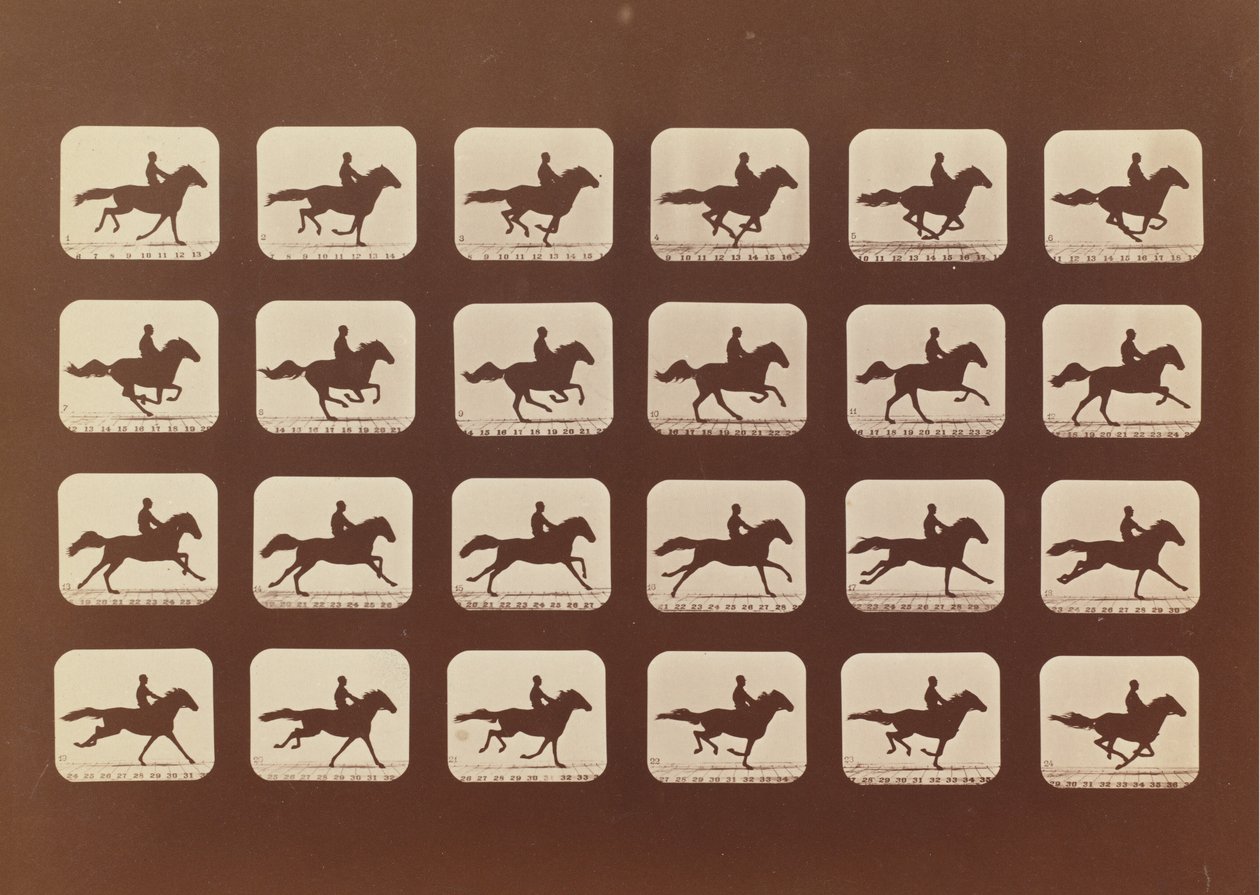 馬。 ランニング。 Phyrne L. No. 40, 1879. 作： エドワード・マイブリッジ