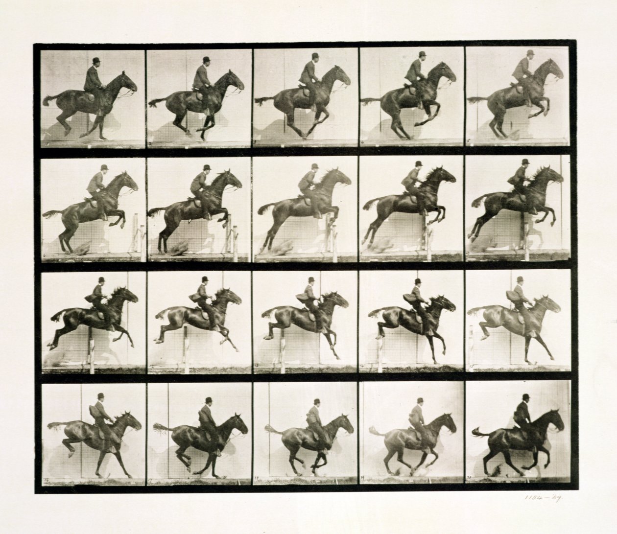 柵を飛び越える男と馬、1887年 作： エドワード・マイブリッジ