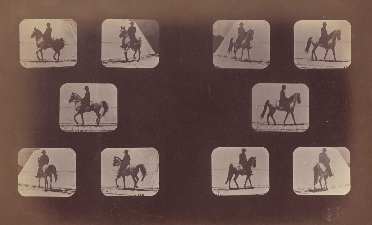 短縮の研究。 馬。 歩く。 マホメット。 Nos. 119-120, 1879. 作： エドワード・マイブリッジ