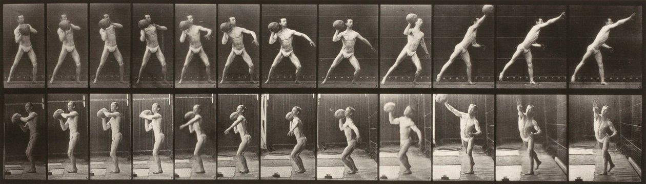 動物の運動（プレート319）（ボールを投げる男） 作： エドワード・マイブリッジ