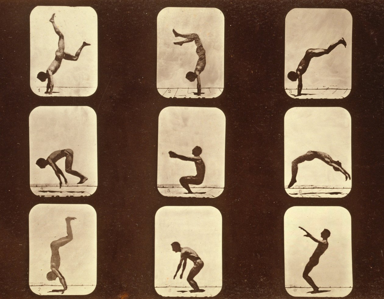 アスリートFlip flap "Animal Locomotion" series, c.1881 (bw photo) 作： エドワード・マイブリッジ