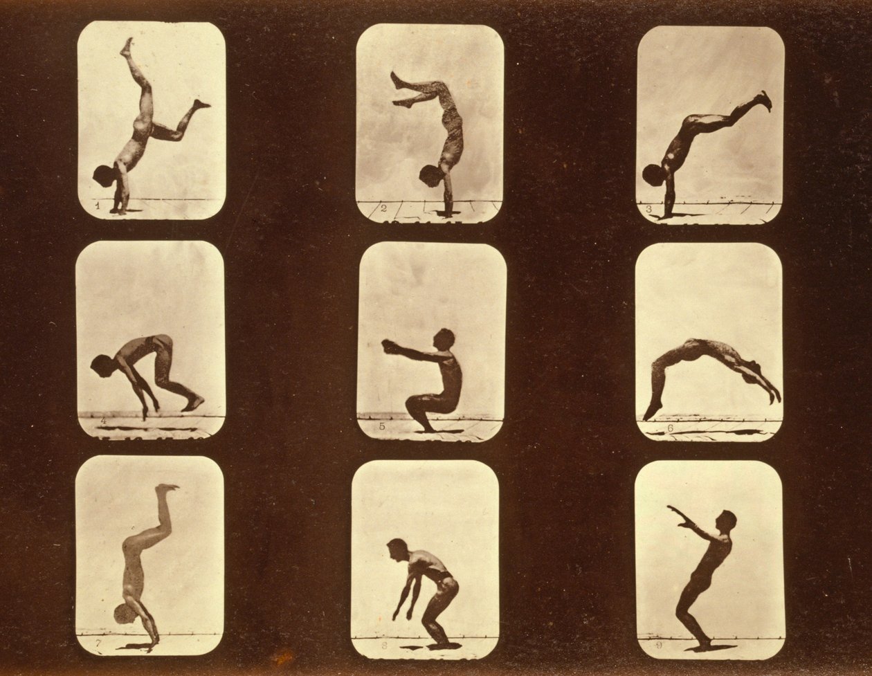 アスリート。 「Animal Locomotion」シリーズの不規則な作品、1881年頃 作： エドワード・マイブリッジ