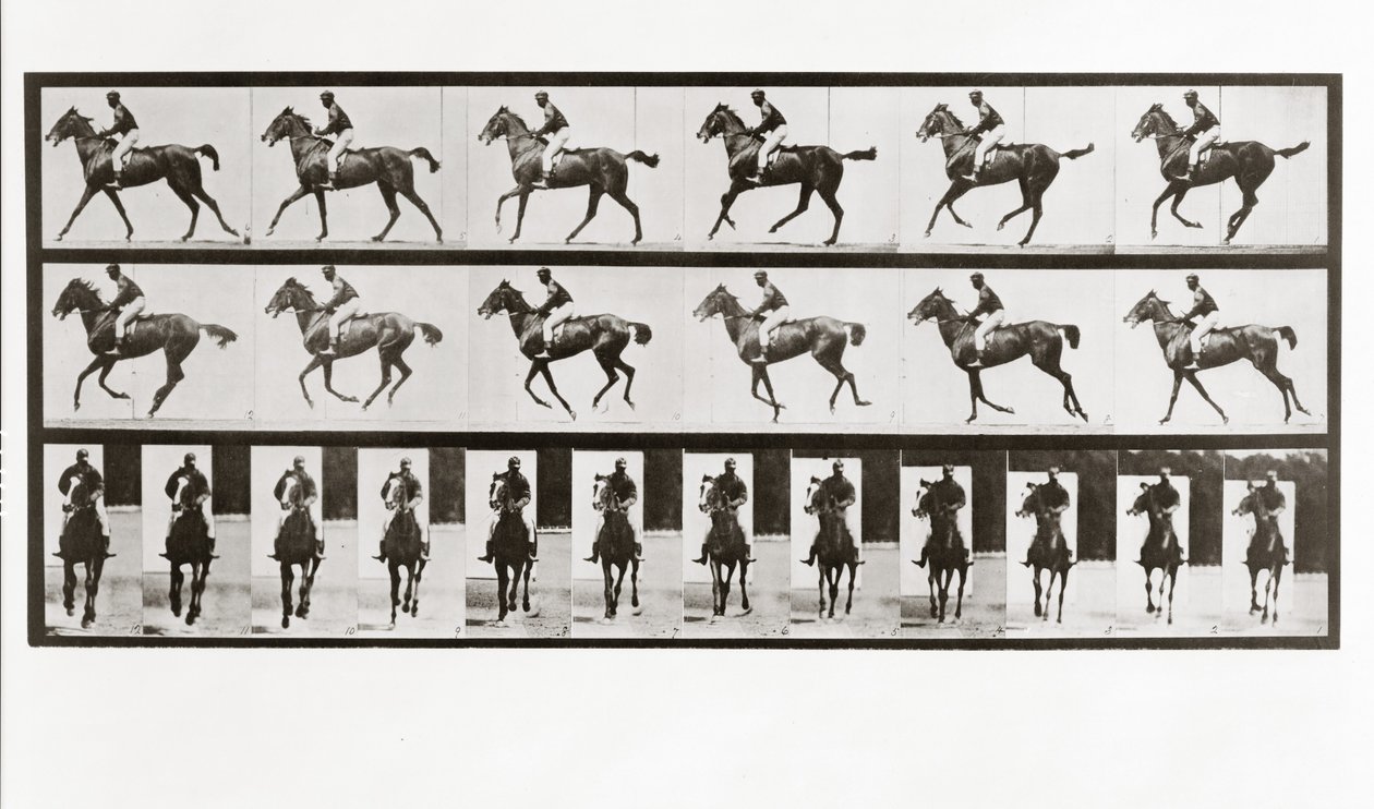 馬とライダー、動物の移動からのプレート621、1887 作： エドワード・マイブリッジ