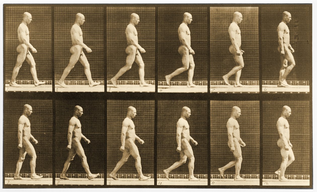 歩く裸の男性のイメージ・シーケンス、「Animal Locomotion」シリーズ、1881年頃（モノクロ写真 作： エドワード・マイブリッジ