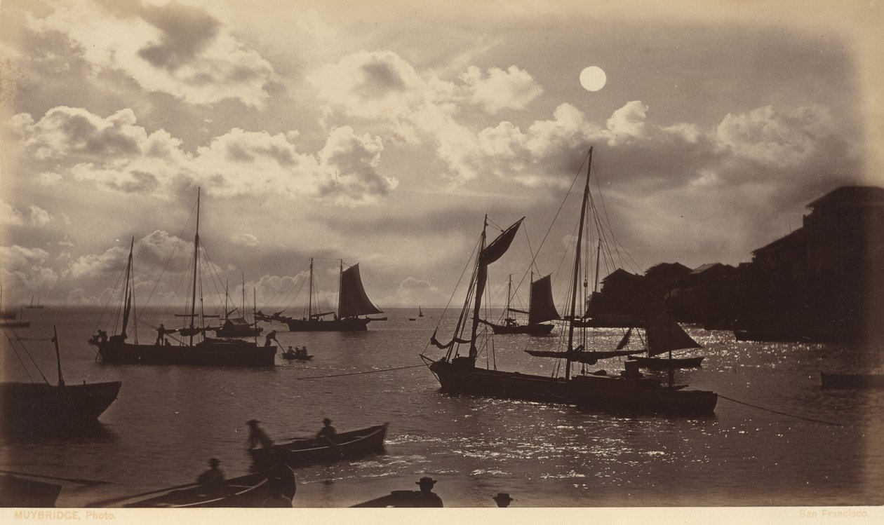 月光効果-パナマ湾、1877年（写真） 作： エドワード・マイブリッジ