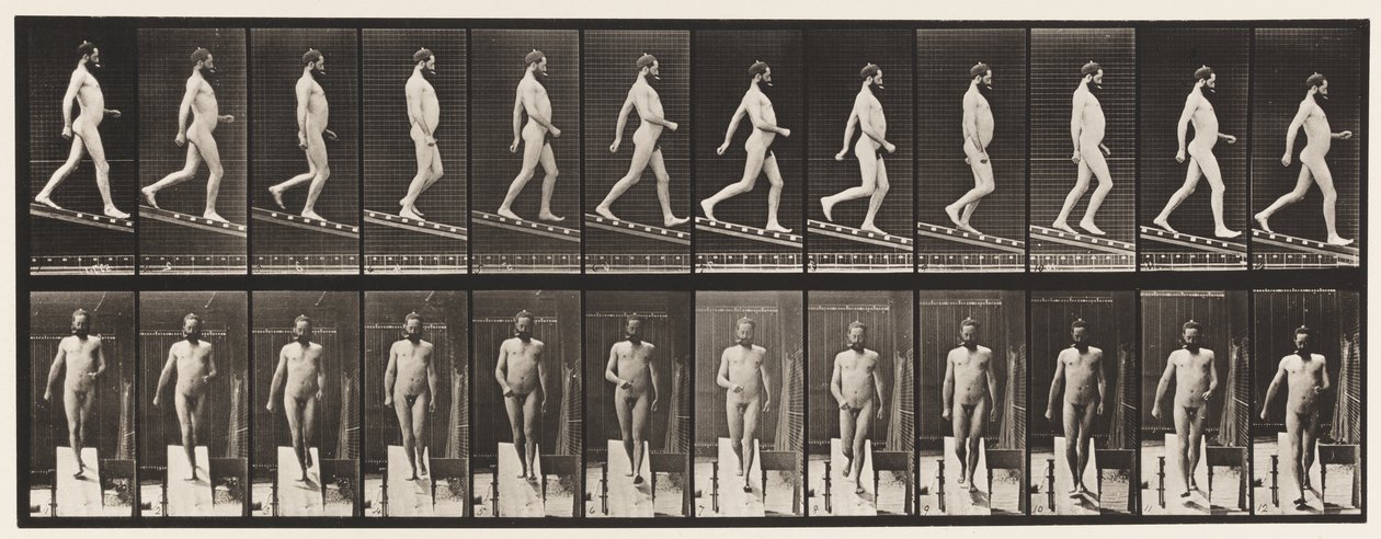 プレート113。降順インクライン、4分の1、1872〜1885 作： エドワード・マイブリッジ