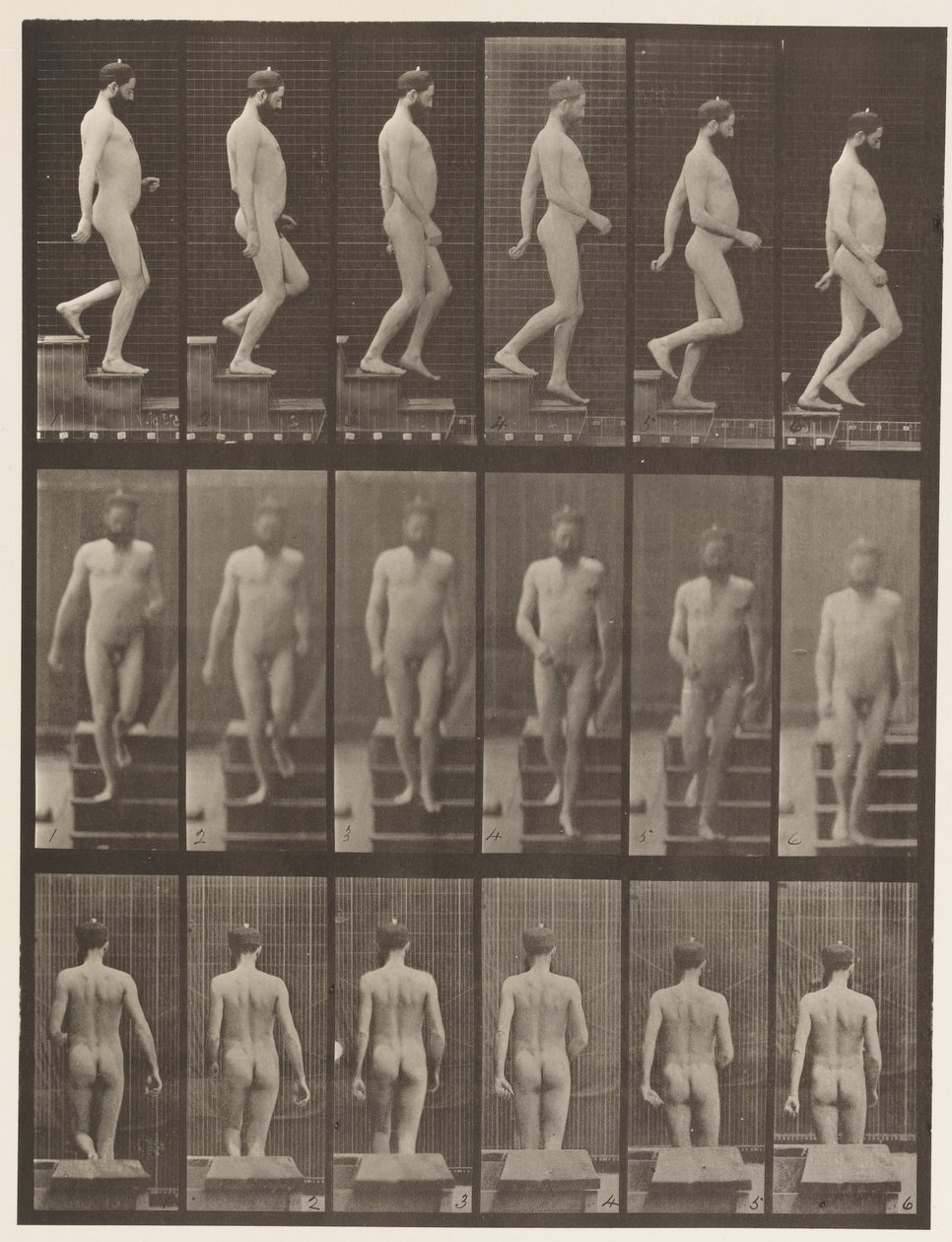 プレート127。降順階段、1872〜1885 作： エドワード・マイブリッジ