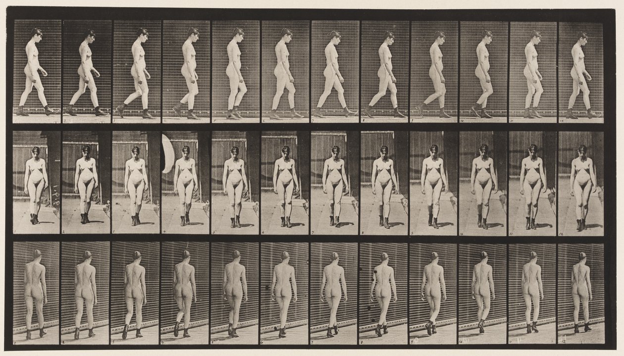 プレート22.ハイヒールのブーツを着用したウォーキング、1872〜1885 作： エドワード・マイブリッジ