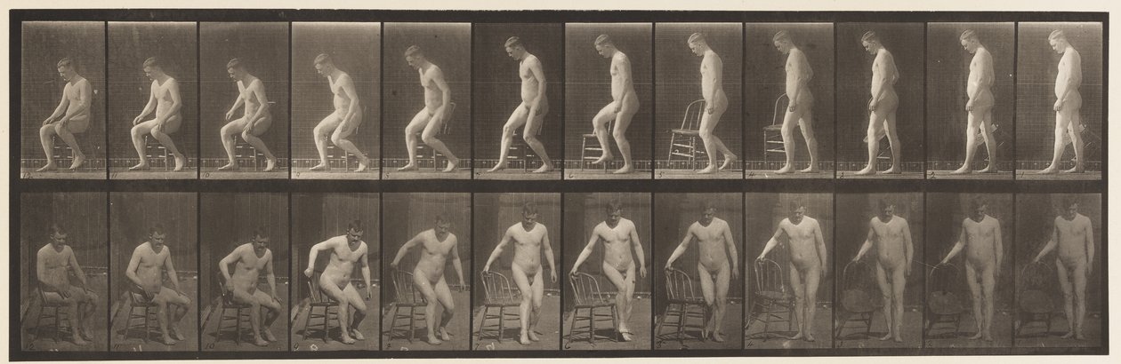 プレート236.Diairの配置とSitting Down、1885 作： エドワード・マイブリッジ