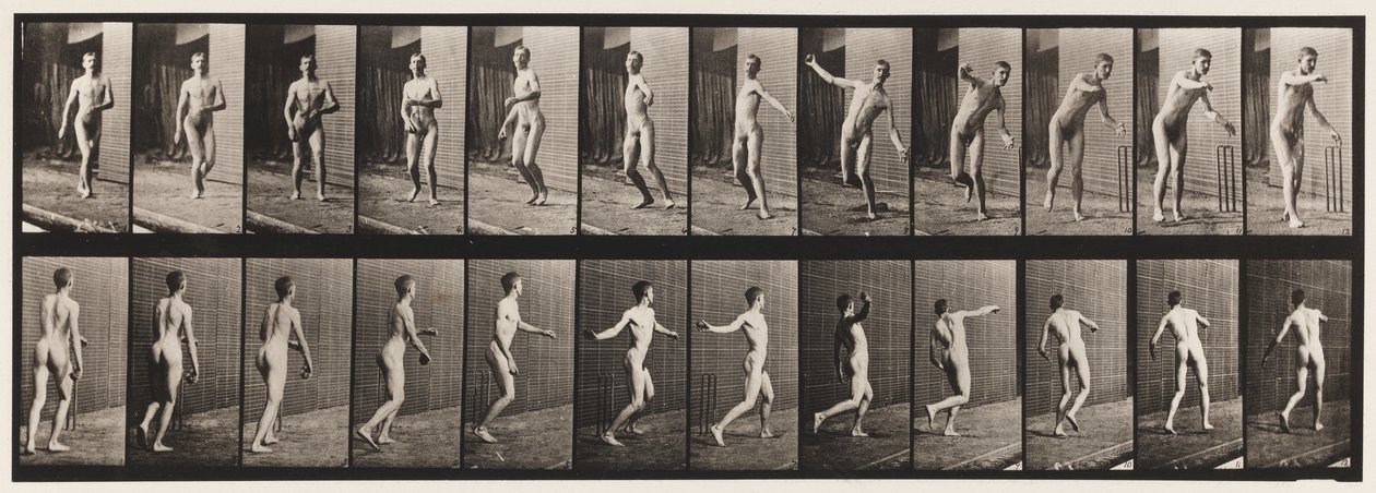 プレート289.クリケット;ラウンドアームボウリング、1885 作： エドワード・マイブリッジ