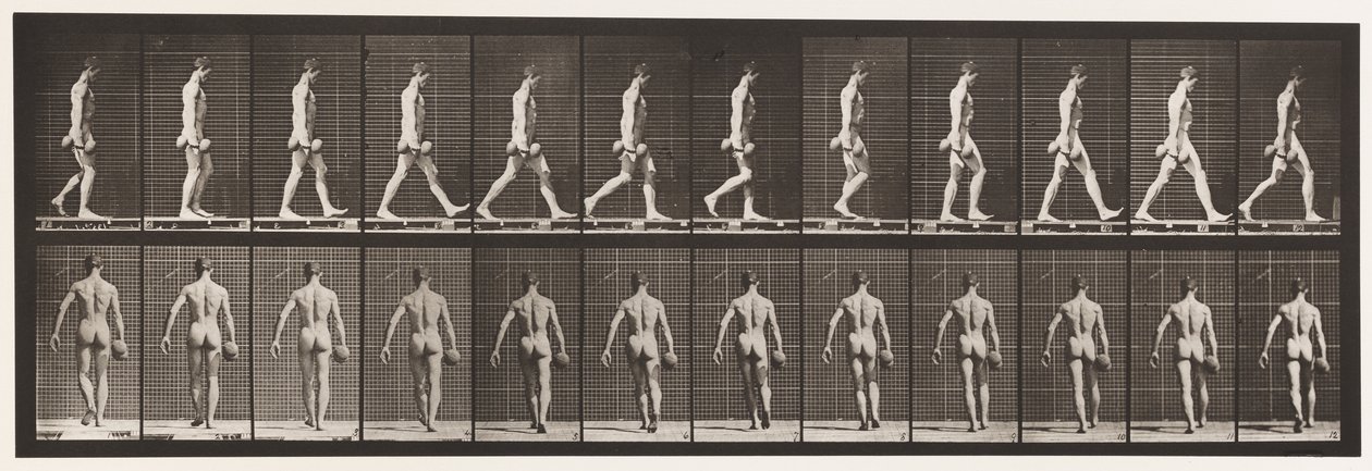 プレート28.ウォーキング、50ポンドのダンベルを右手で運ぶ、1872〜1885 作： エドワード・マイブリッジ