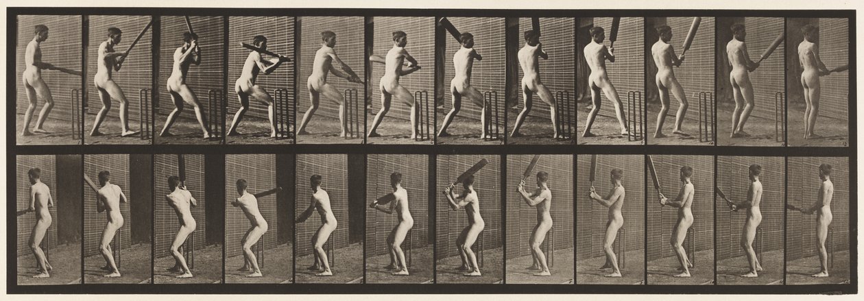 プレート292.クリケット;バッティング;バックアウト、1885 作： エドワード・マイブリッジ