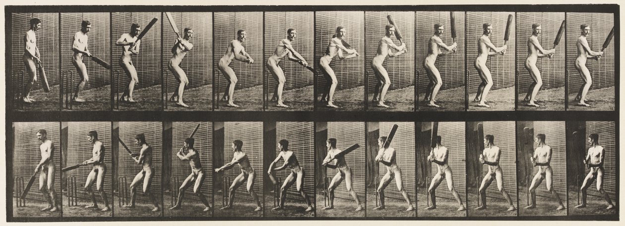 プレート293.クリケット;バッティング;バックカット、1885 作： エドワード・マイブリッジ