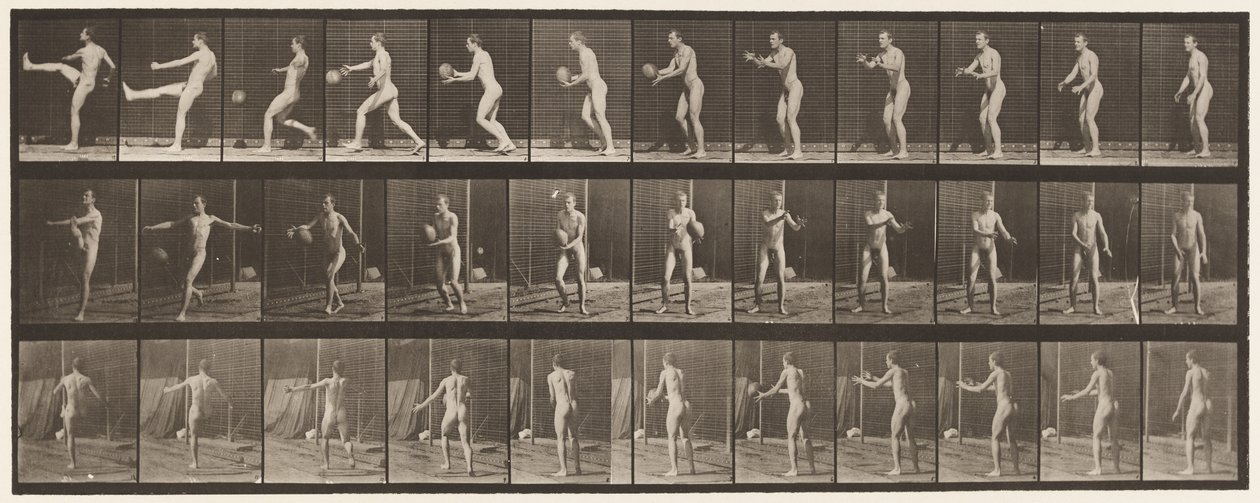 プレート301.フットボール;パント、1885 作： エドワード・マイブリッジ
