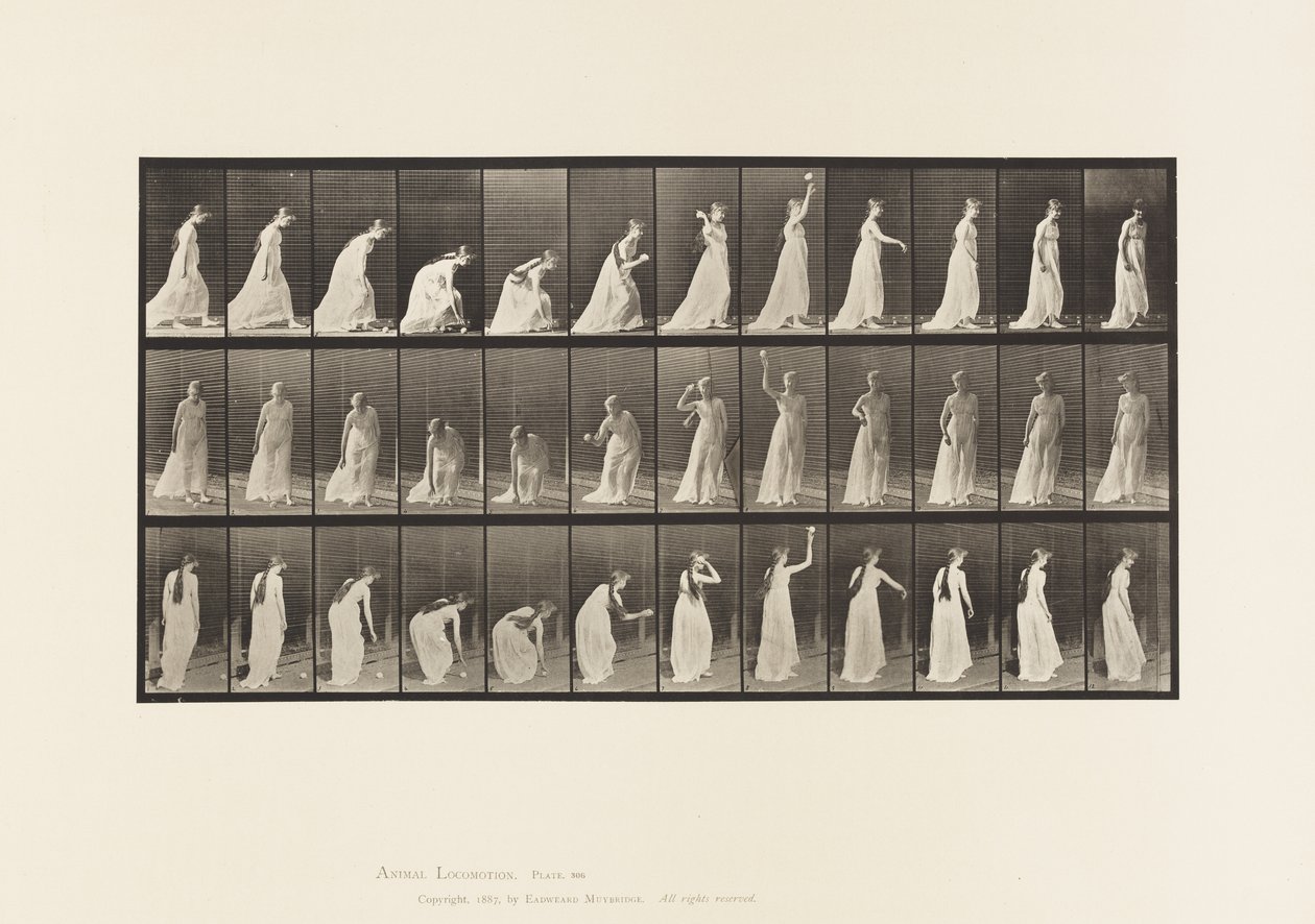 プレート306.ボールを拾って投げる、1885 作： エドワード・マイブリッジ