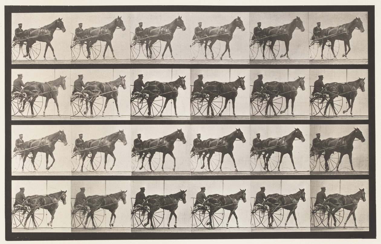 プレート587.ウォーキング;不機嫌;ソレルマーレネリーローズ、1885 作： エドワード・マイブリッジ