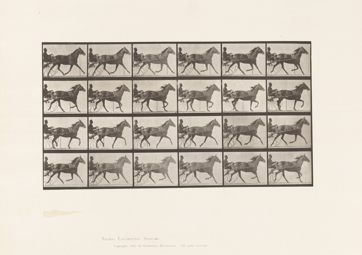 プレート607。Trotting; Sulky; Bay Mare, Lizzie M. 作： エドワード・マイブリッジ