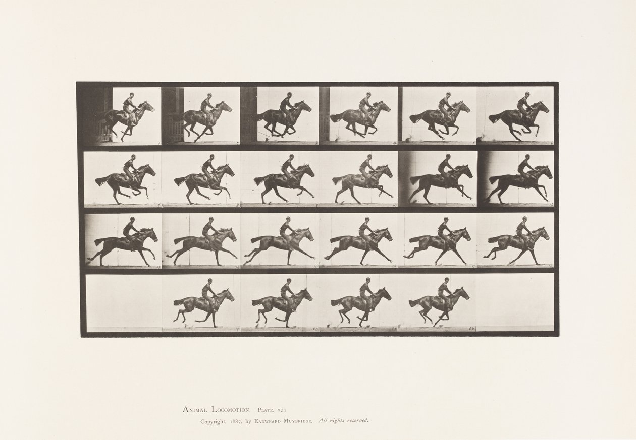 Plate 625.サラブレッド・ベイホース・ブーケ「ギャロップ 作： エドワード・マイブリッジ