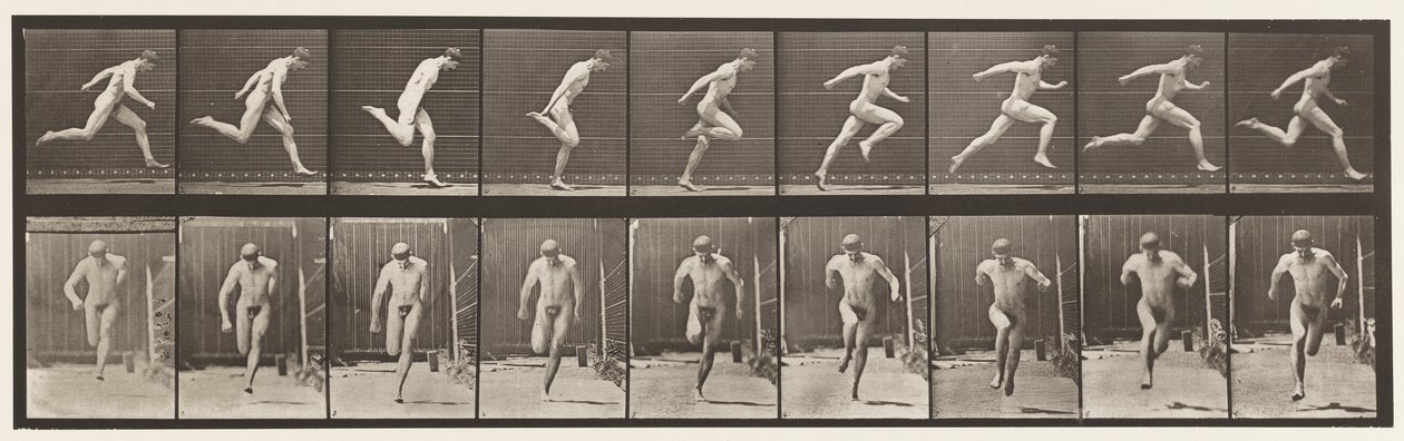 プレート68。ランニング、1872〜1885 作： エドワード・マイブリッジ
