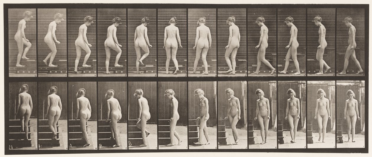 プレート98.ターンとアセンディングの階段、1872〜1885 作： エドワード・マイブリッジ