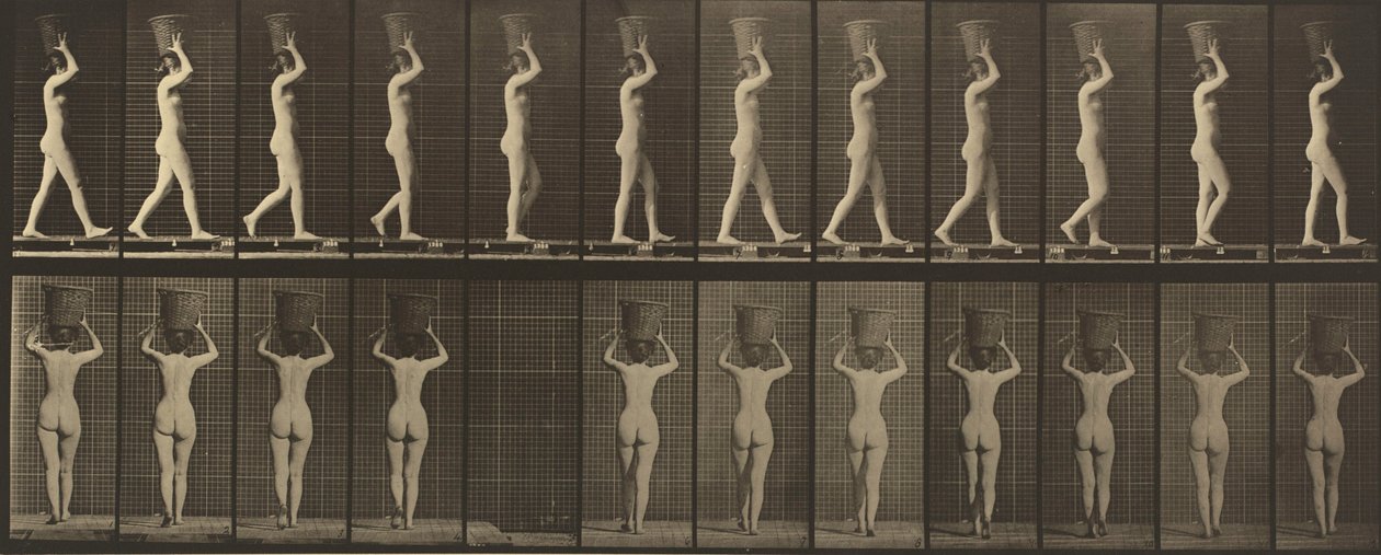 プレート番号34。両手を挙げ、15ポンドのバスケットを頭に載せて歩く1887年（写真）。 作： エドワード・マイブリッジ