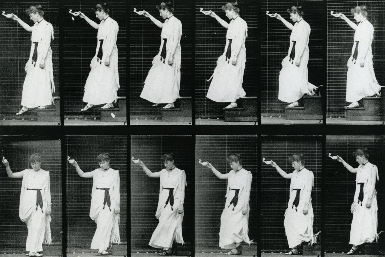女性。 1887年に出版されたEadweard Muybridgeの「The Human Figure in Motion」からの階段の下り、1887年のイラスト 作： エドワード・マイブリッジ