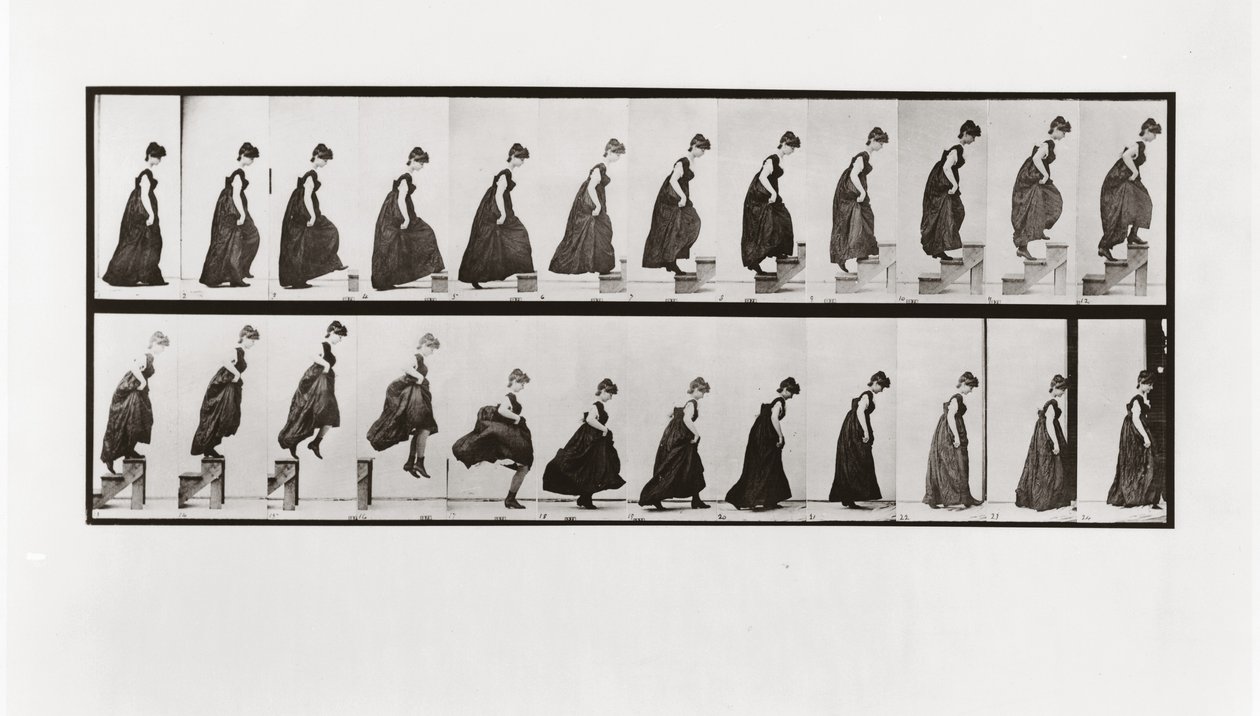 階段を上り、飛び降りる女、1887年、Animal Locomotionのプレート173 作： エドワード・マイブリッジ