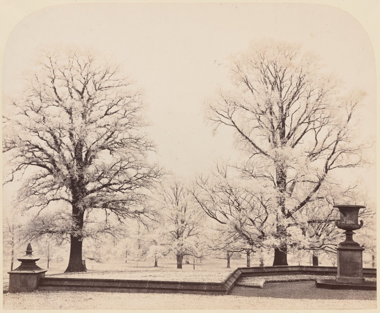 霜、公園の風景、1862年（写真） 作： ケイスネス伯爵