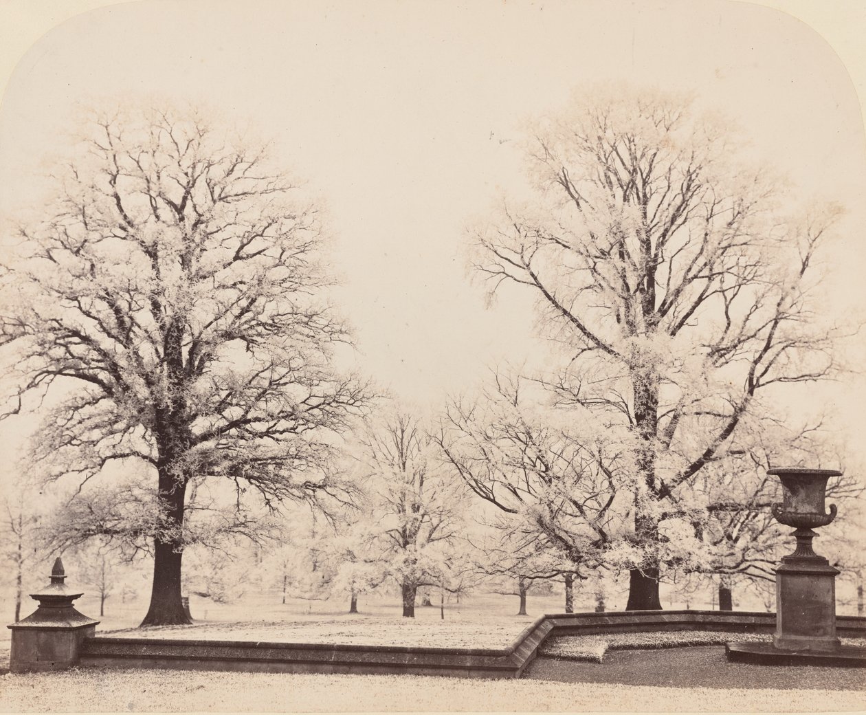 公園の風景、1862年のホアフロスト。 作： ケイスネス伯爵ジェームズ・シンクレア