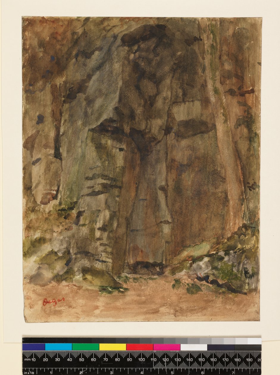 Rocks at Bagnoles-De-L "Orne、1917年以前 作： エドガー・ドガ
